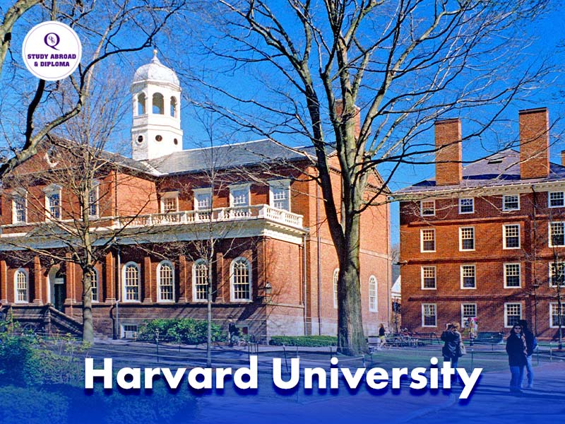 Harvard University