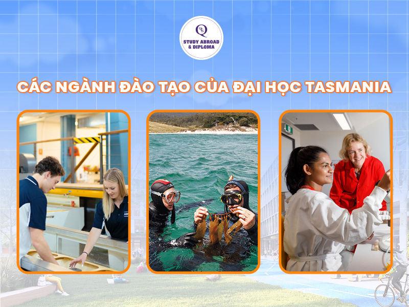Các ngành đào tạo tại University of Tasmania