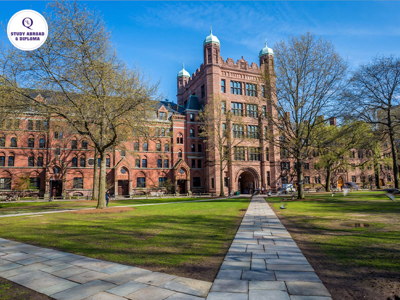Các trường Đại học Y nổi tiếng ở Mỹ - Yale University