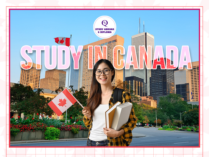 Cơ hội phát triển sự nghiệp khi du học Canada ngành Công nghệ thông tin
