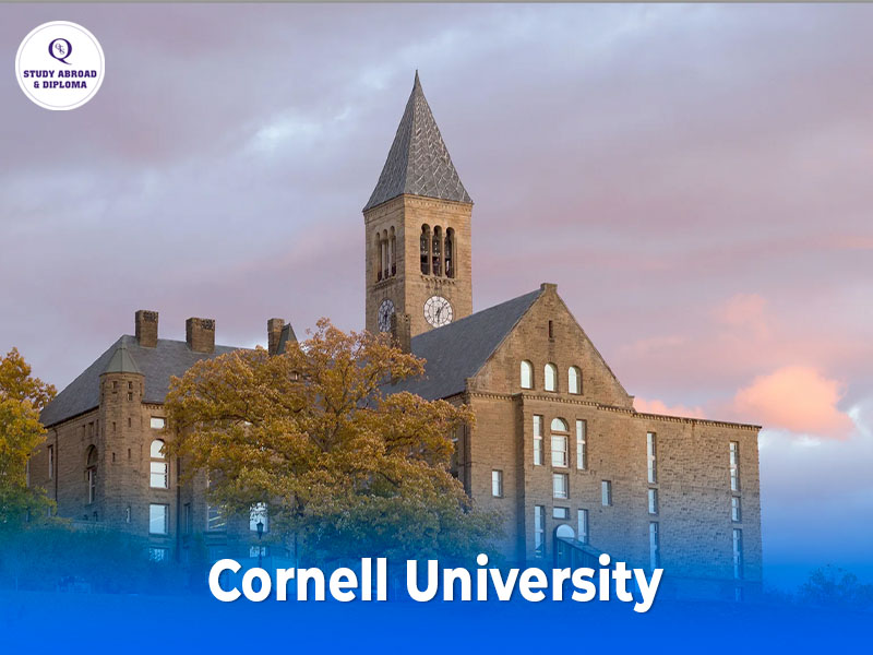 Cornell University