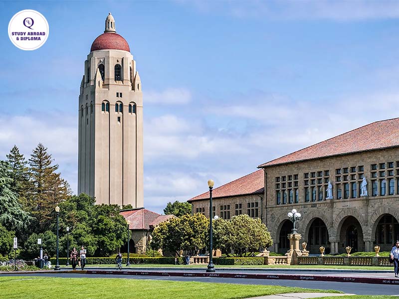 Du học Mỹ ngành Y tại Đại học Stanford