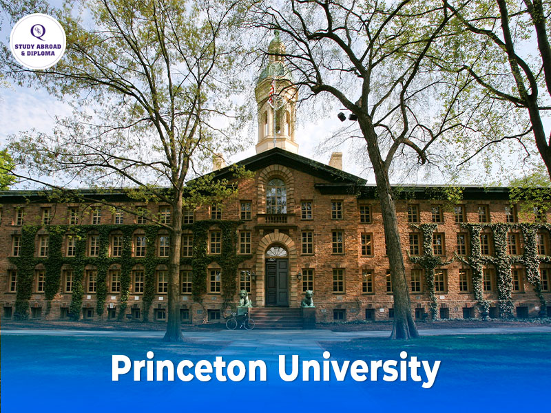 Princeton University