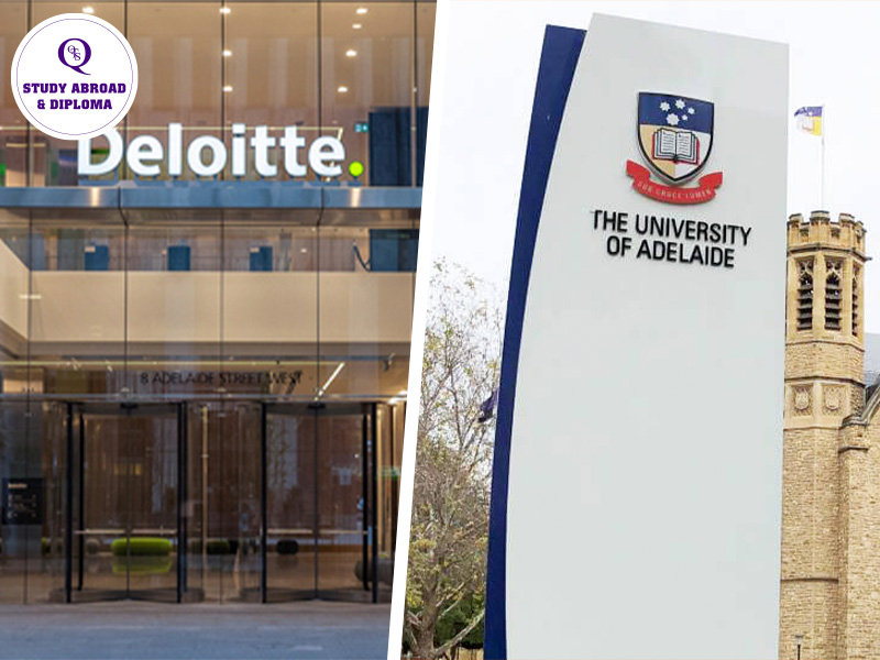 Sinh viên Đại học Adelaide có cơ hội thực tập hưởng lương tại tập đoàn Deloitte