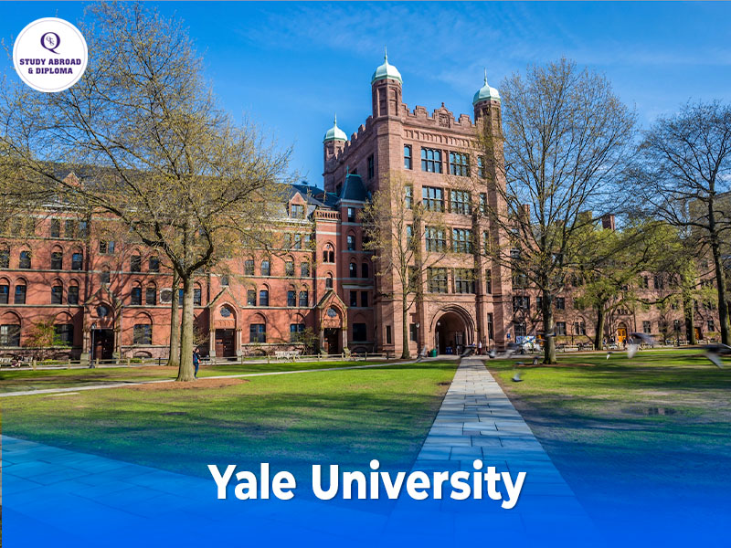 Yale University
