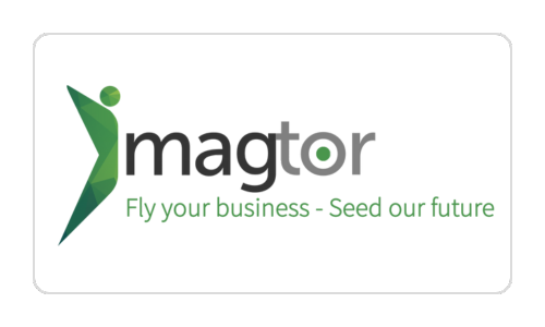 Logo Magtor