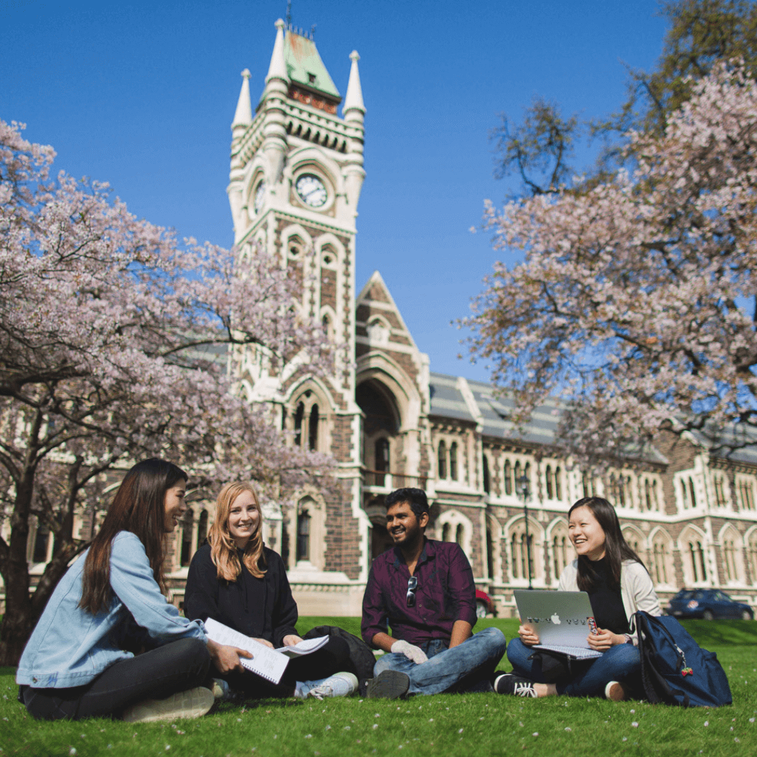 study in New Zealand